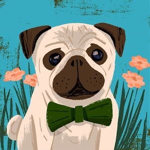 Meet your Posher, Hazel